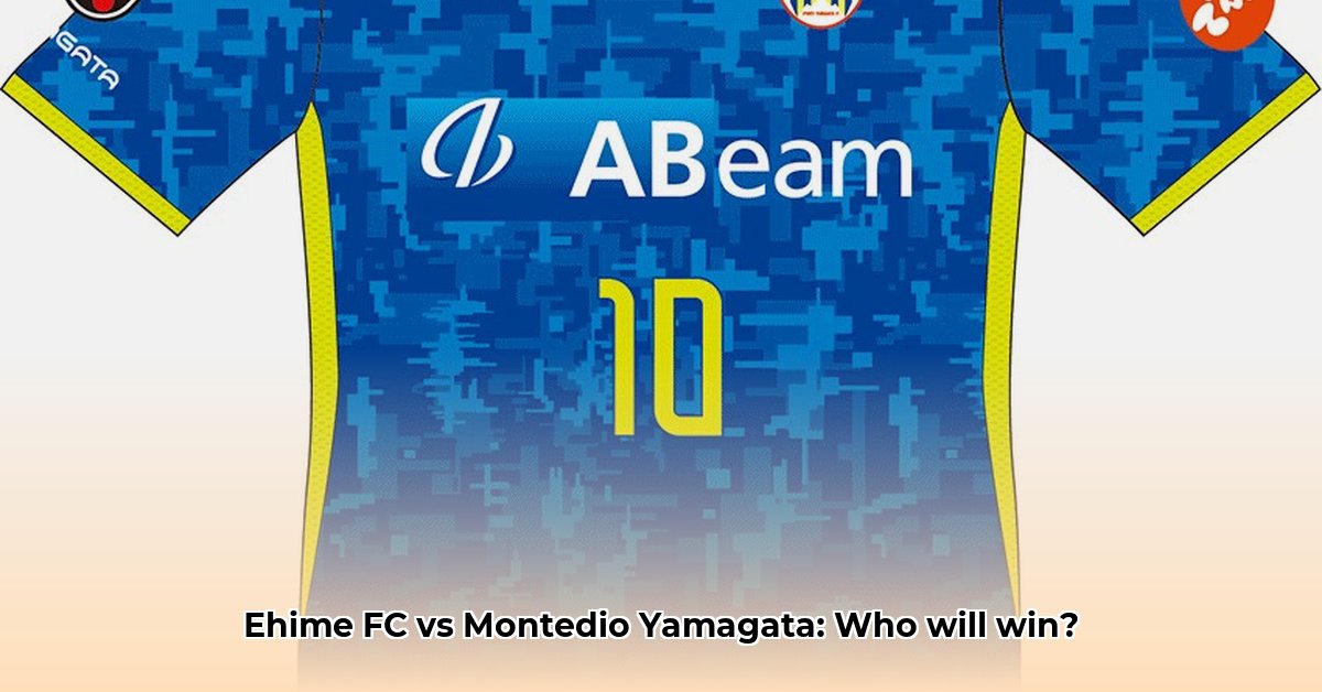 ehime-fc-vs-montedio-yamagata